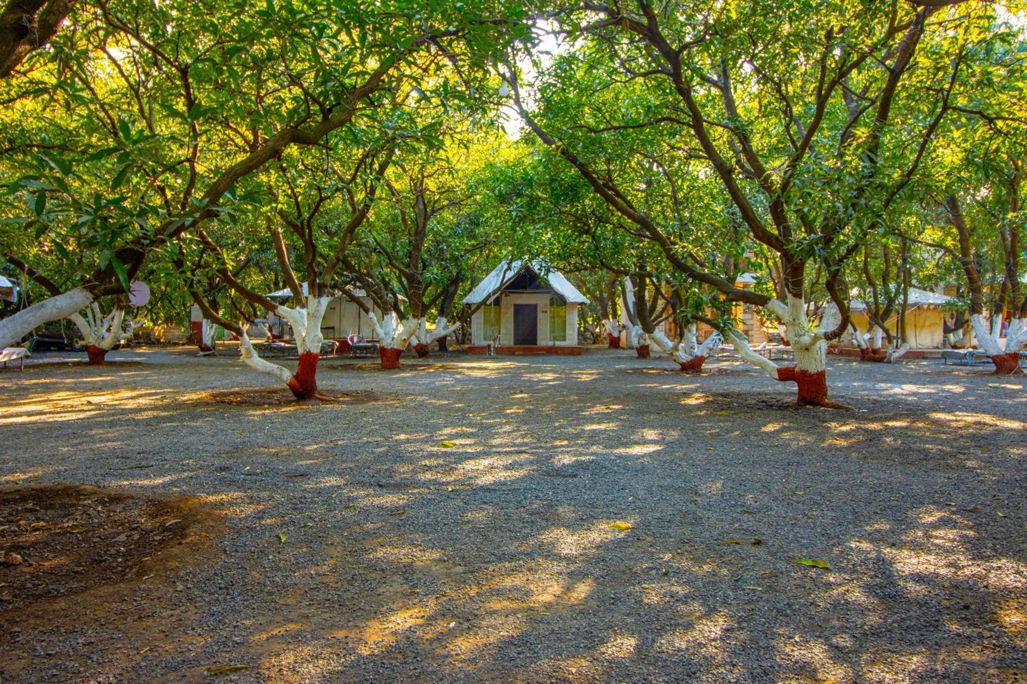 Brook Ville Sasan Gir Exterior photo